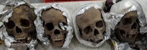 Four human skulls found in Mexico package bound for US