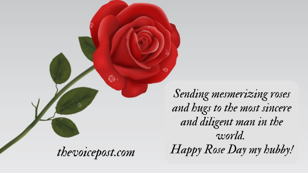 Rose Day Quotes, Wishes and Messages