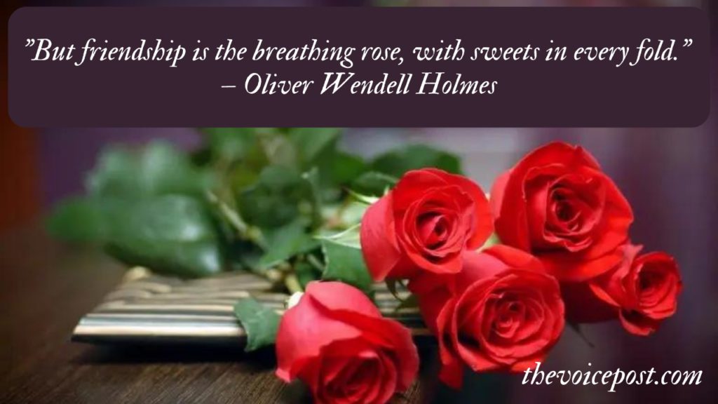 Rose Day Quotes, Wishes and Messages