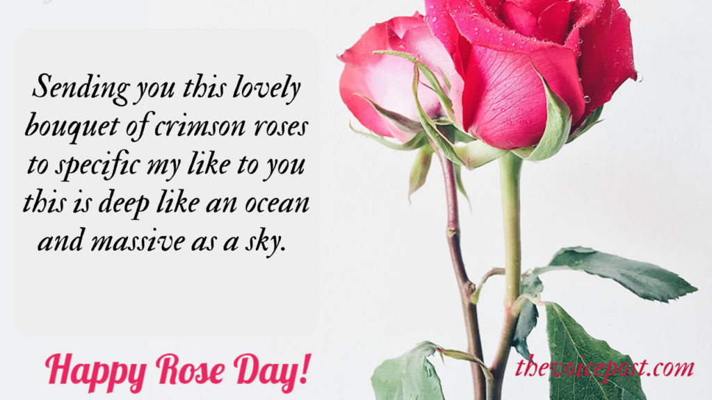 Rose Day Quotes, Wishes and Messages