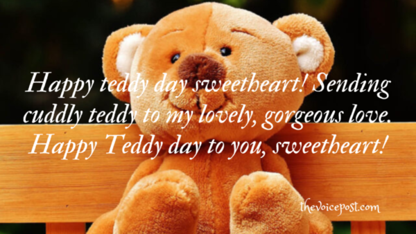 Happy Teddy Day 2023: Best wishes, Quotes and Messages - The Voice Post