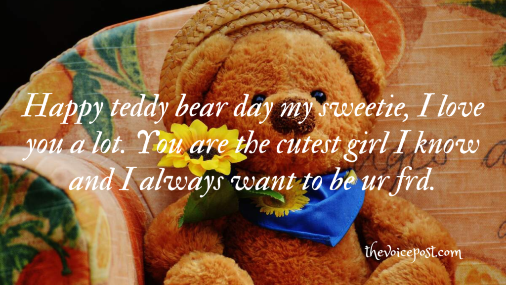 Happy Teddy Day 2023: Best wishes, Quotes  and Messages