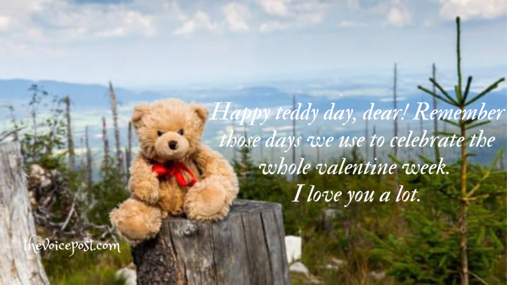 Happy Teddy Day 2023: Best wishes, Quotes  and Messages