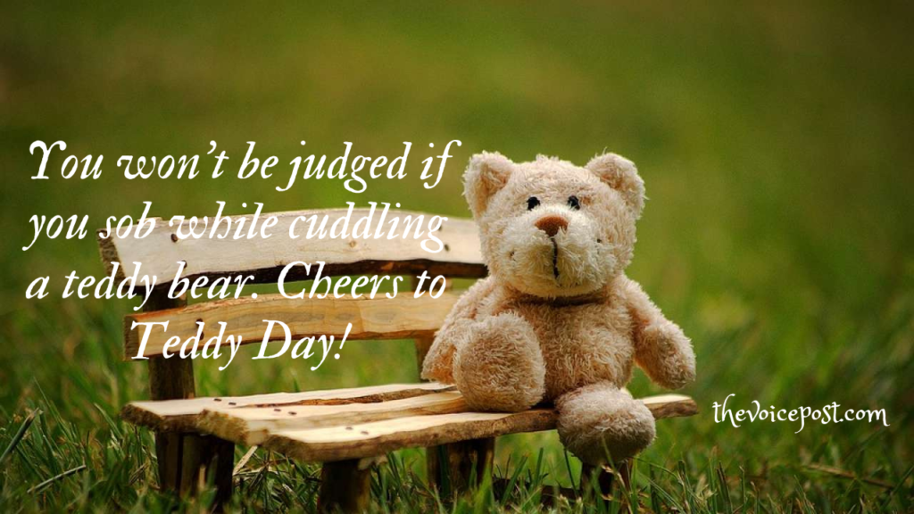 Happy Teddy Day 2023: Best wishes, Quotes  and Messages