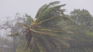 Cyclone Freddy death toll in southeast Africa surpasses 500