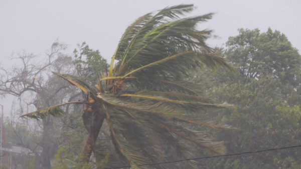 Cyclone Freddy death toll in southeast Africa surpasses 500